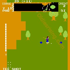 Tournament Pro Golf sur Arcade